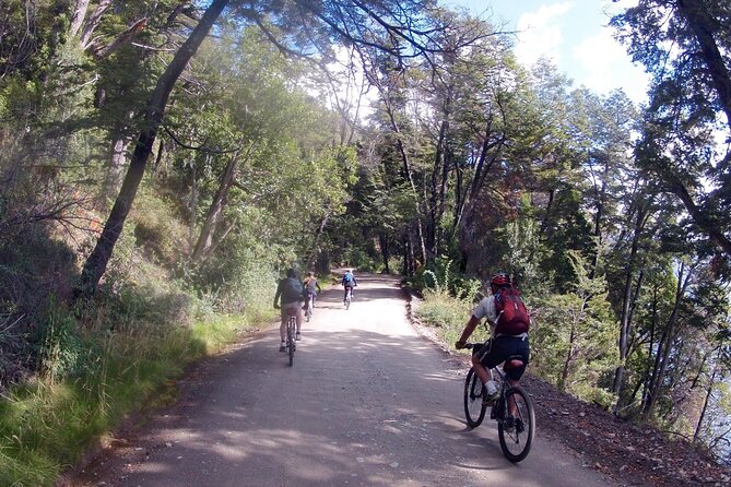 Mountain Bike Adventure in Bariloche - Half Day Tour in Private Service - Inclusions and Highlights