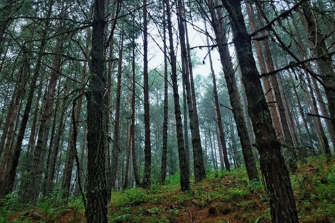 Mountain Biking at the Cumbre Ixtepeji Trails - Inclusions and Amenities