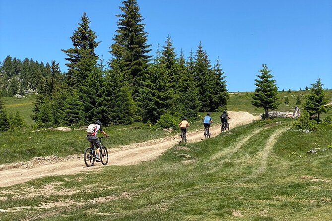 Mountain Biking Tour - Meeting and End Points