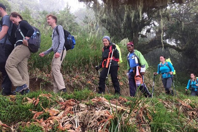 Mt Kilimanjaro Climbing; 6 Days Machame Route - Exploring the Machame Route