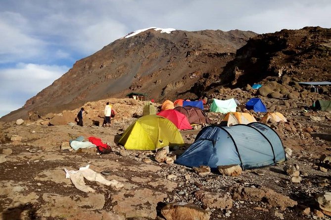 Mt.kilimanjaro Lemosho Route - Terrain and Scenery