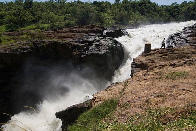 Murchison Falls National Park - 3 Days - Wildlife Viewing Opportunities