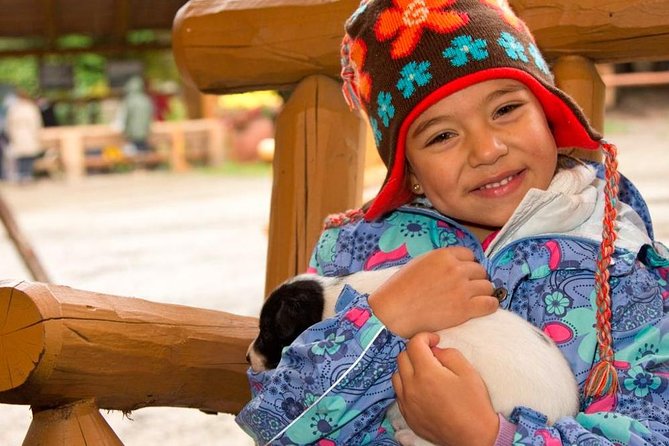 Mushers Camp and Smore Roasting Experience - Itinerary Details