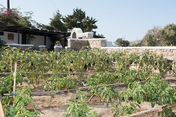 Mykonian Farm Entrance Ticket - Operating Schedule