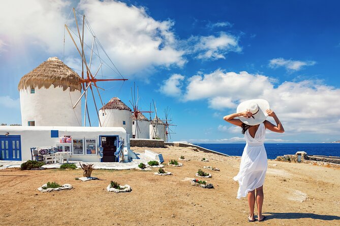 Mykonos Private Island Tour - Inclusions and Amenities