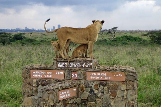 Nairobi National Park, Baby Elephant Orphanage and Giraffe Center - Wildlife Viewing Opportunities