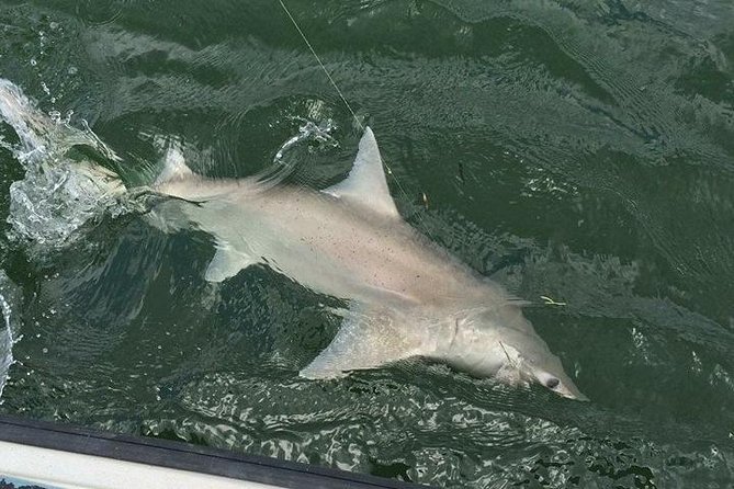 Naples Inshore Fishing Charters - Included Amenities
