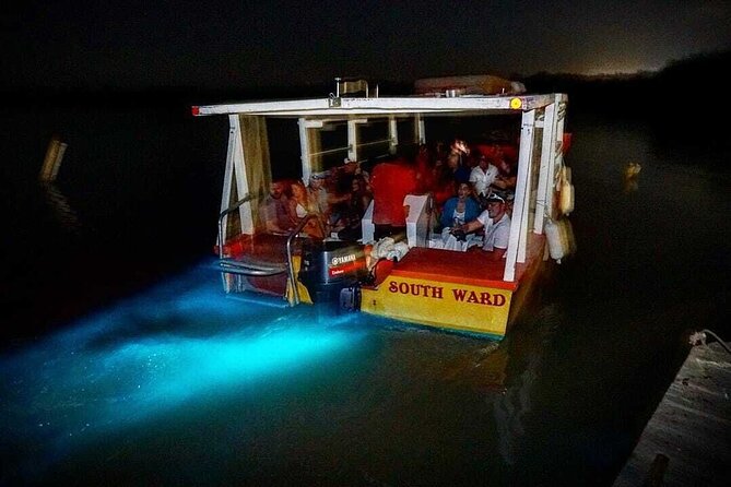 Nature at Its Best Dunns River - Bob Marley - Luminous Lagoon From Ocho Rios - Discovering the Bob Marley Museum