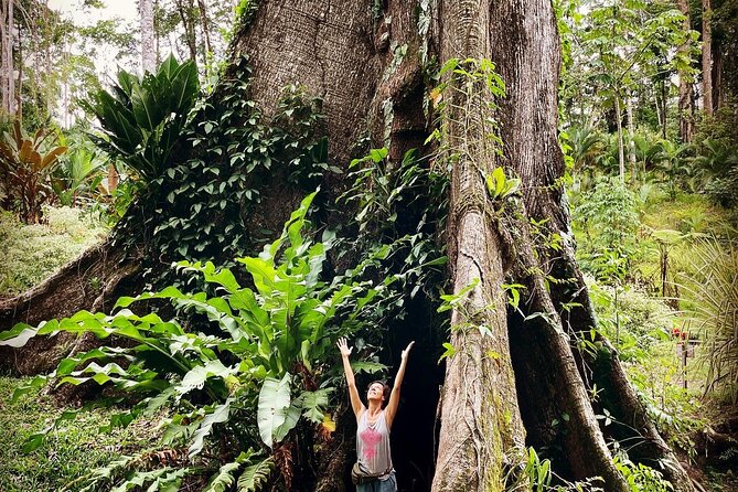 Nature & Forest Therapy Guided Walk in Puerto Viejo - Meeting Information