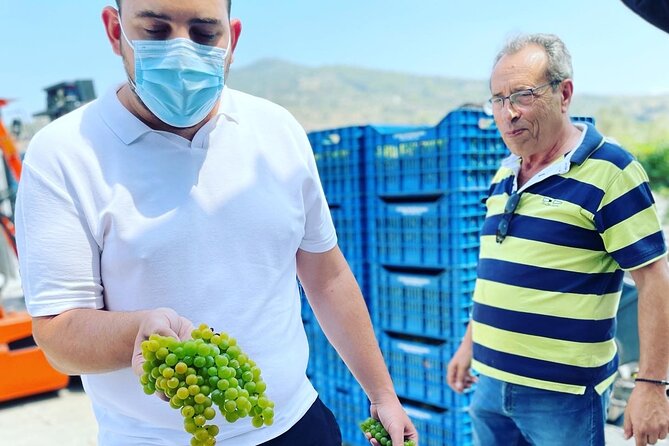 Nemea Wine Tour From Athens, Nafplio or Nemea With Oenologists - Flexible Payment and Tour Duration