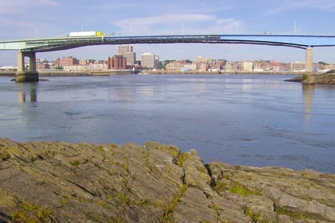 New Brunswick Shore Excursion: Bay of Fundy and More Highlights Tour - Key Features