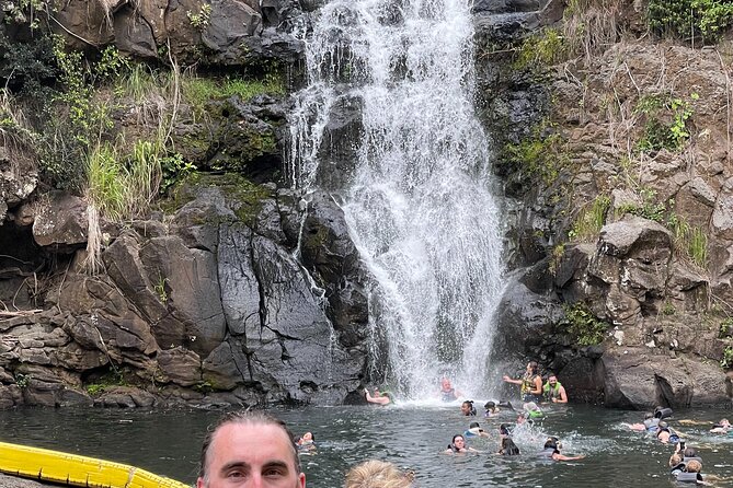 Next Level Oahu Circle Island Tour Snorkel W/Turtles and Byodo-In - Highlights of the Tour