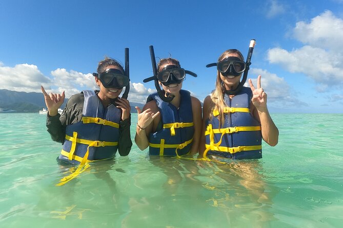 Nha Trang Bay: Explore Half-day Snorkeling at Mun Island - Snorkeling Highlights