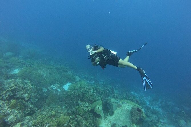 Night Diving At Caribbean Sea - Meeting Point and Timing