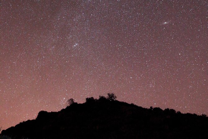 Night Visit to the Engravings of Foz Côa in 4x4 Between Douro and Côa - Cancellation Policy