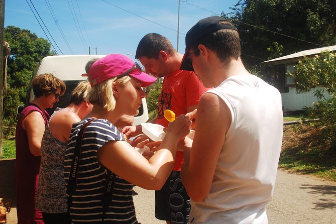 North Coast Tour - Key Attractions