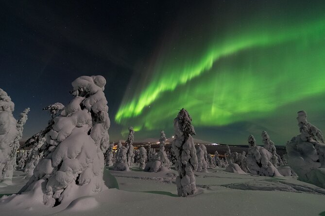 Northern Light Safari by Snowmobiles From Levi - Tour Group Size and Safety