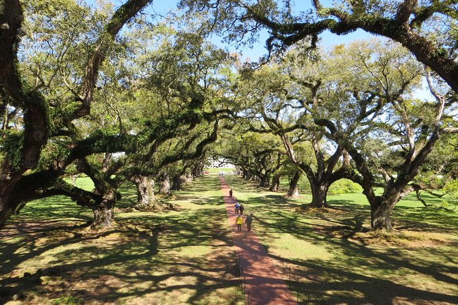 Oak Alley Plantation Half-Day Tour From New Orleans - Transportation and Logistics