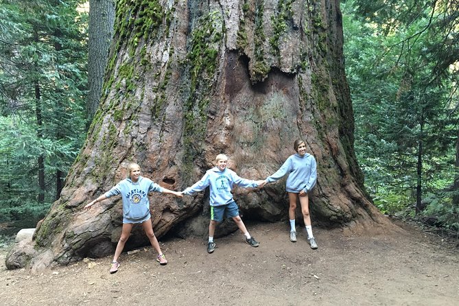 Off-Road Giant Sequoia 4x4 Tour - Jeep Ride Highlights