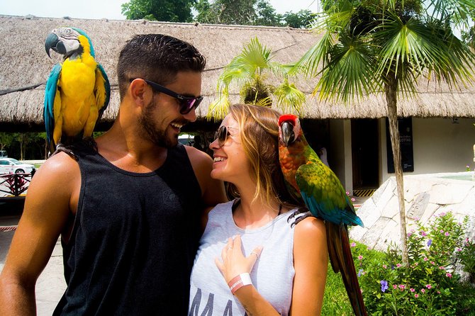 Off-Road Mayan Adventure in Cozumel With Snorkeling and Lunch - ATV Riding Experience