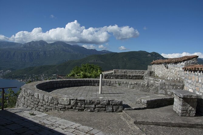 Olive Oil Farm to Fork Experience & Short Walking Tour of Kotor - Olive Oil Production