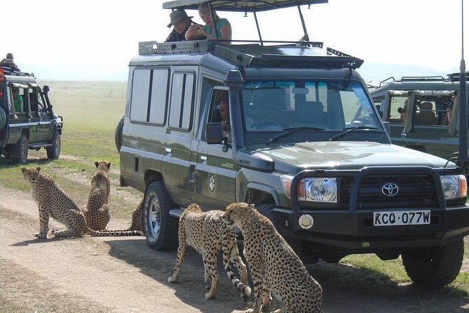 Olpejeta, Lake Naivasha, Masai Mara 5 Days Private Kenya Jeep Tour - Daily Itinerary