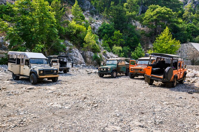 Olympos, Cirali, Chimera Night Tour With Dinner at Ulupinar - Review Ratings and Distribution