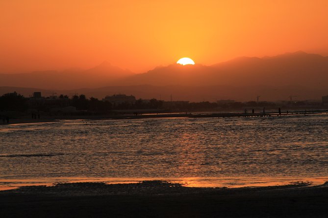 Omani Dhow:Coastal and Sunset Cruise - Booking Your Cruise