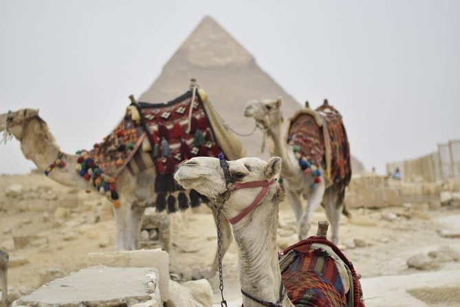 One Day Cairo Pyramids Trip From Hurghada - Pickup and Meeting Details