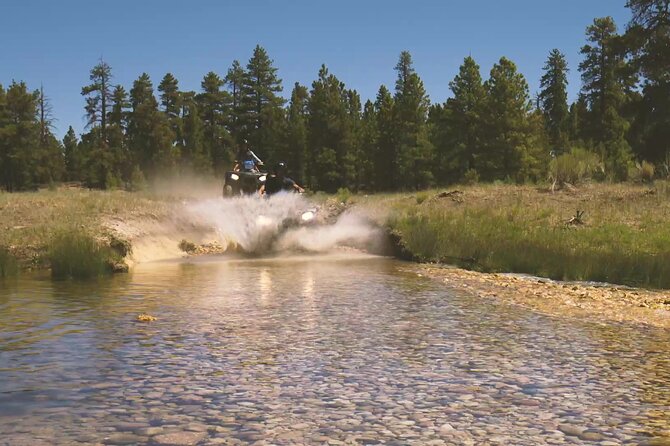One Hour Guided ATV Ride in Utah - Experience Highlights