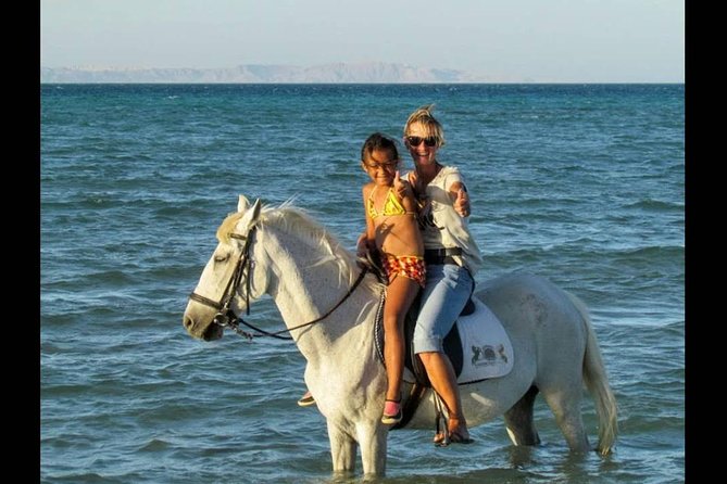One Hour Horse Riding at Desert With Transfer - Sharm El Sheikh - Pricing and Cancellation Policy