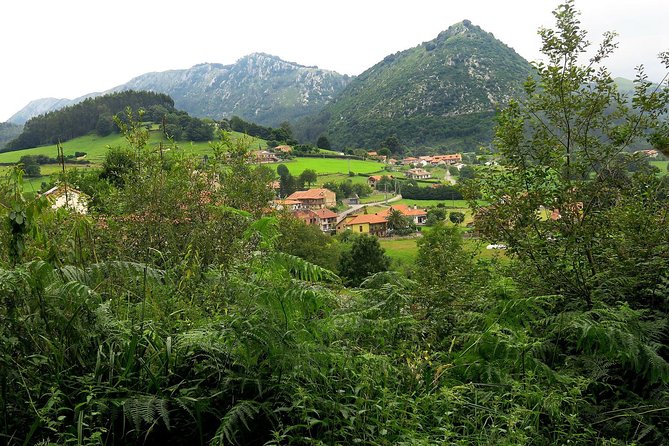 One Week Spanish Course At Your Tutors Home In The North Of Spain - Authentic Spanish Cuisine