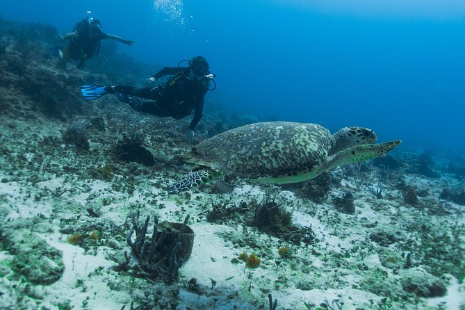 Open Water Course Cozumel - Inclusions