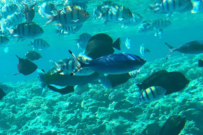 Orange Bay From Makadi Bay/Sahl Hasheesh/Soma Bay/Safaga - Pickup Information