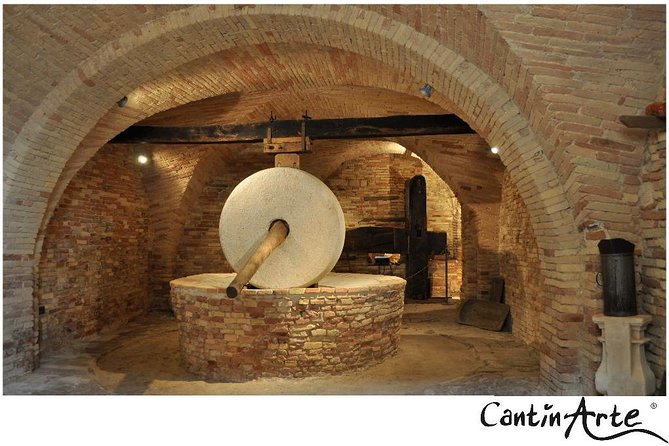 Organic Wine Tasting & Professional Tasting of Olive Oil in the OIL MUSEUM - Scheduling and Timing