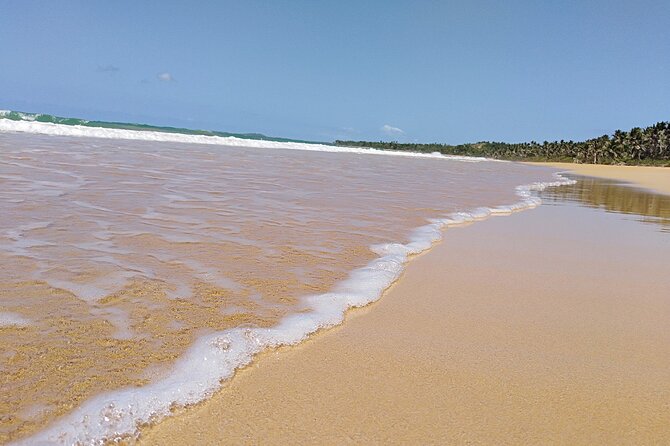 Original Tropical Rainforest and Beach Adventure - Health and Safety Guidelines