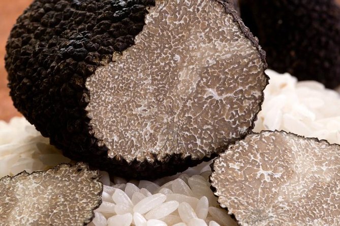 Orvieto: Half-Day Truffle Hunting Experience - Getting to the Meeting Point
