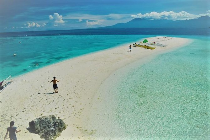 Oslob Whaleshark With Sumilon Island - Sumilon Sandbar Excursion