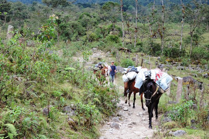 Otún Basin Crossing 3 Days 2 Nights - Itinerary Details