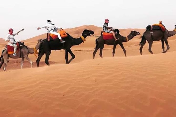 Overnight Desert Tours From Fez to Fez - Itinerary Overview