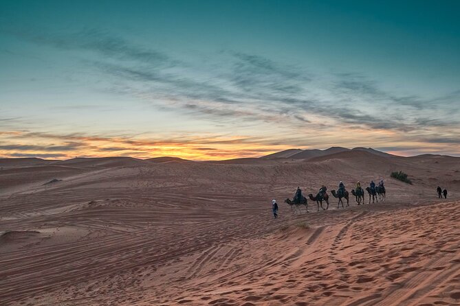 Overnight Tour From Fes to Sahara Desert - Inclusions of the Tour
