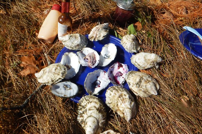 Oyster Farm & Complimentary Tasting Sea Kayak Tour in Casco Bay - Safety Considerations