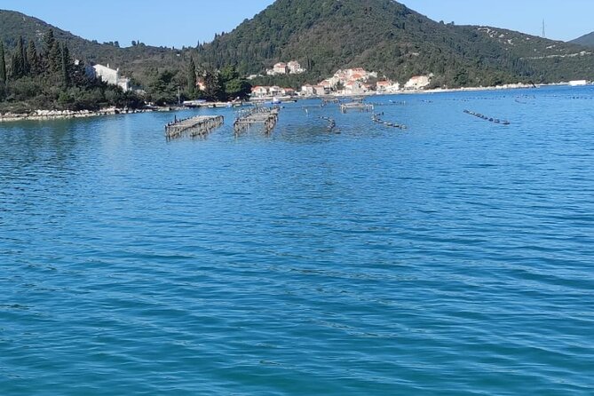 Oysters and Mussels Tasting With Wine in Ston and Pelješac - Meeting and Pickup