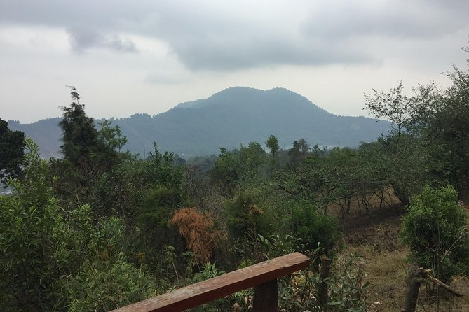 Pacaya Volcano Hike (half-day) - Exploring the Lush Trails