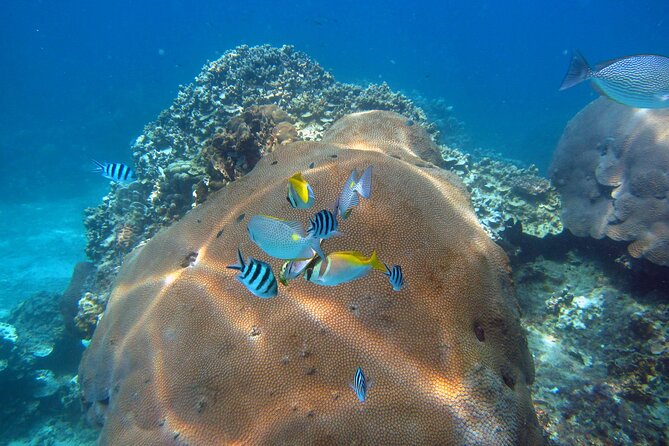 PADI Advanced Open Water Diver Course Two Days One Night Included Accommodation - Included Accommodation
