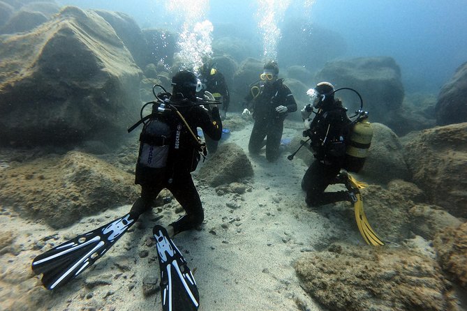 PADI Open Water Course in Costa Adeje - Traveler Experiences