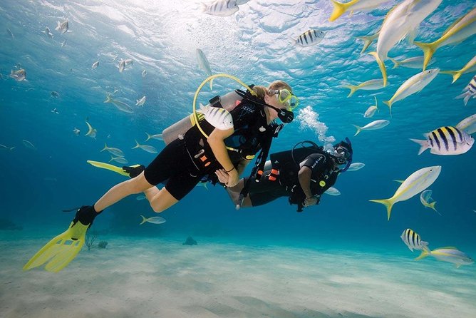 Padi Open Water Diver Course - Meeting and Pickup Details