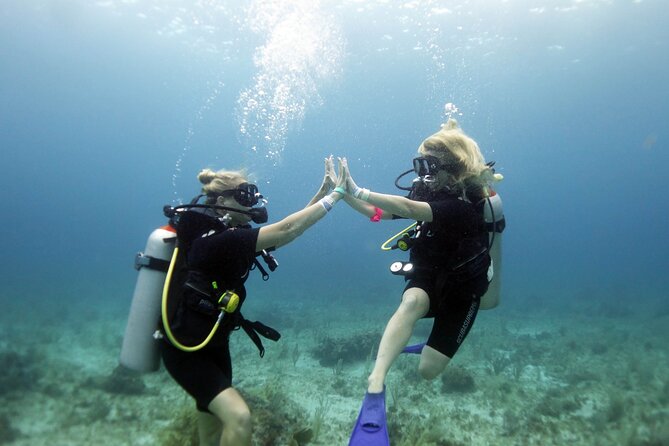 PADI Open Water Diver Course - Location and Meeting