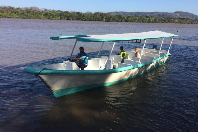 Palo Verde National Park Day Trip - What to Expect