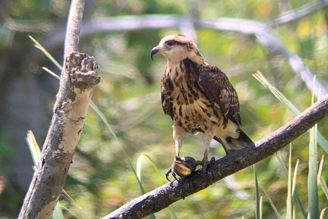 Palo Verde River Boat Trip - Schedule and Availability